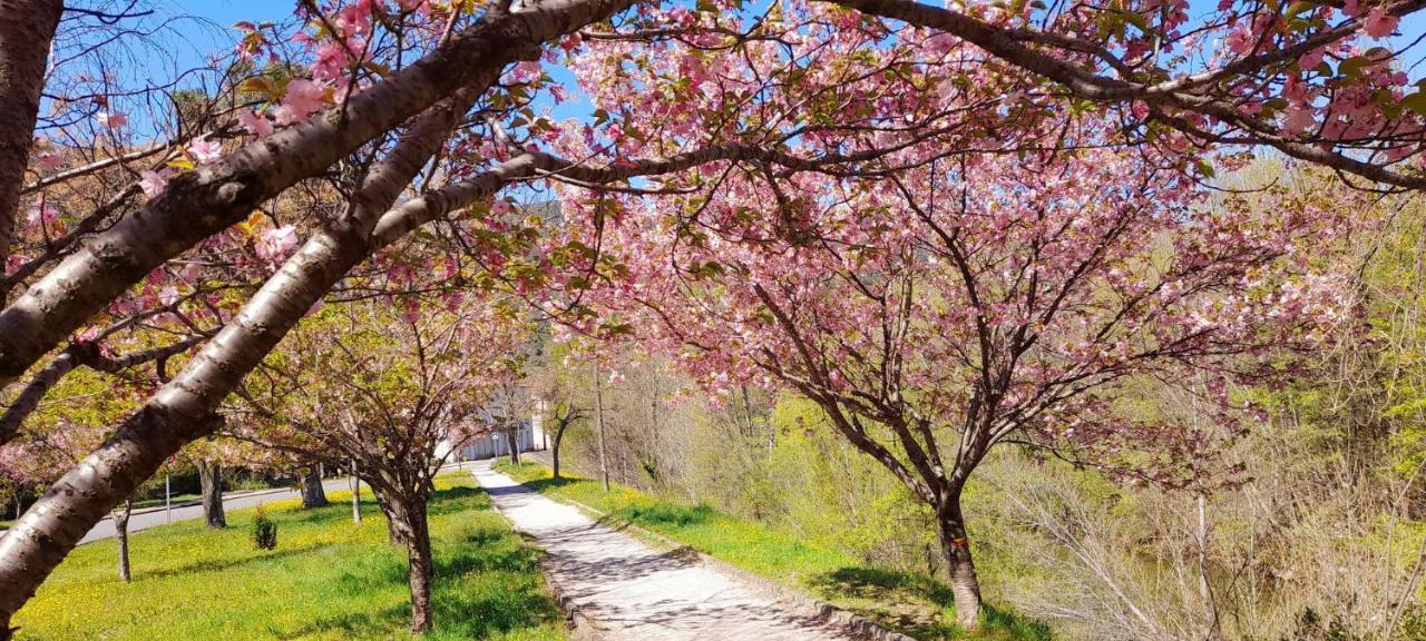 T2 Tout Confort Амели-ле-Бен-Палальда Экстерьер фото