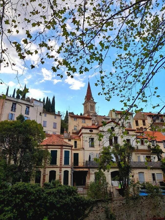 T2 Tout Confort Амели-ле-Бен-Палальда Экстерьер фото